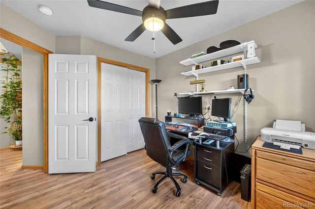 354 Amber Drive, Windsor, CO 80550