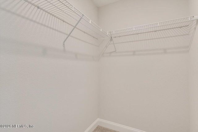 13822 HARLOWTON Avenue, Jacksonville, FL 32256