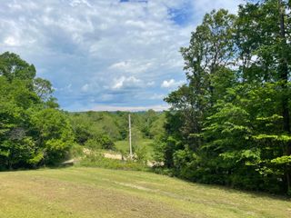 4002 White Oak Road, Seligman, MO 65745