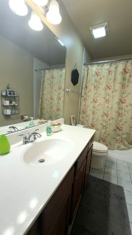 21203 Old North Church Road, Frankfort, IL 60423