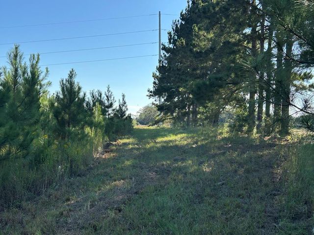 20+-ac State Hwy 95 (Columbia Rd), Abbeville, AL 36310