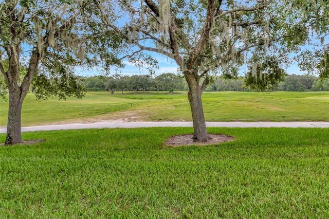 3507 ARLINGTON RIDGE BOULEVARD, Leesburg, FL 34748