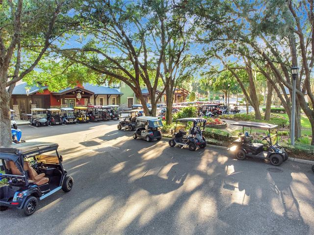 3507 ARLINGTON RIDGE BOULEVARD, Leesburg, FL 34748