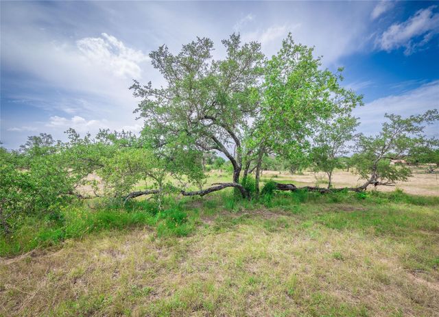 TBD Winnie Smith RD, Round Mountain, TX 78663