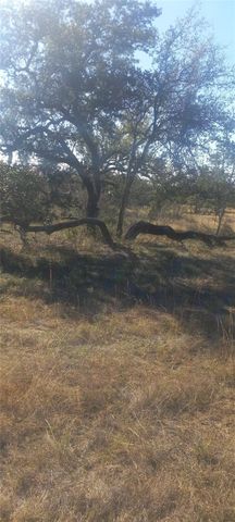 TBD Winnie Smith RD, Round Mountain, TX 78663