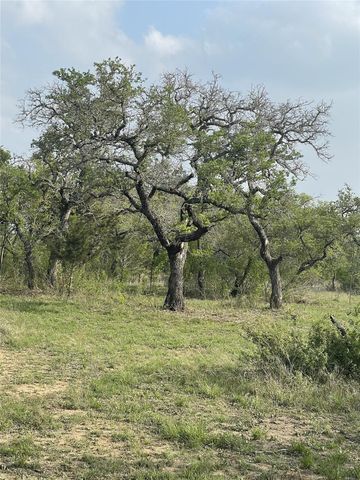 TBD Winnie Smith RD, Round Mountain, TX 78663