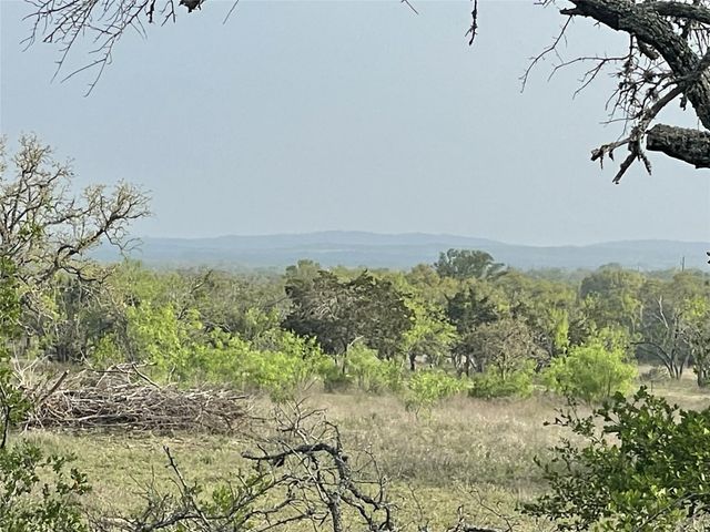 TBD Winnie Smith RD, Round Mountain, TX 78663