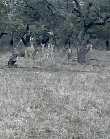 TBD Winnie Smith RD, Round Mountain, TX 78663