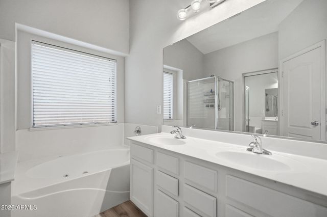 273 E CHICORY Place, San Tan Valley, AZ 85143