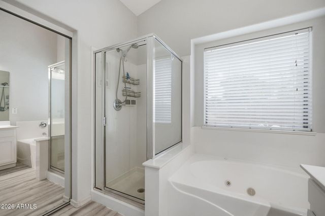 273 E CHICORY Place, San Tan Valley, AZ 85143