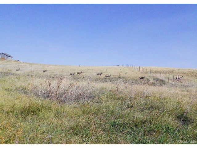 9990 County Road 162, Kiowa, CO 80117
