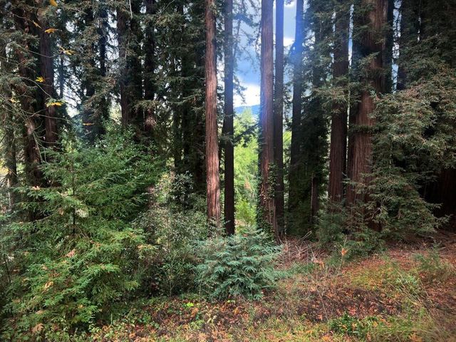 21578 Alma Court, Los Gatos, CA 95033