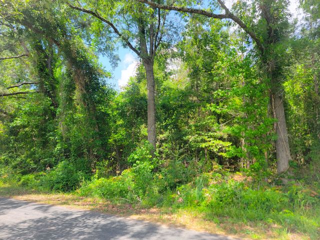 0000 Murraysville Road, Moncks Corner, SC 29461