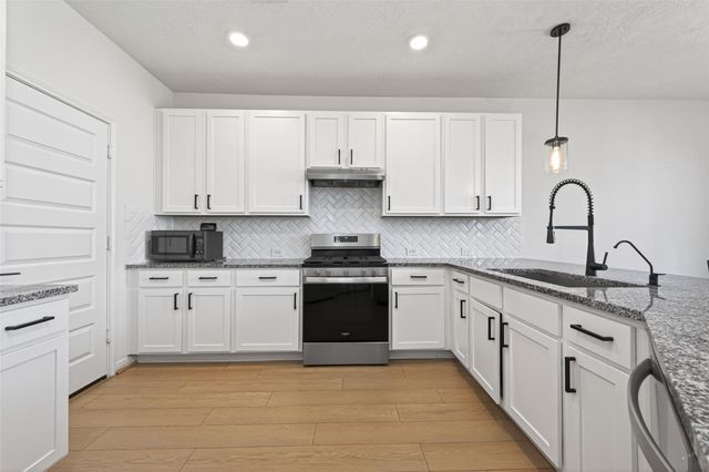 15627 Tawny Stark Drive, Houston, TX 77044