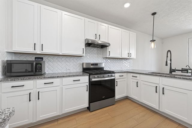 15627 Tawny Stark Drive, Houston, TX 77044