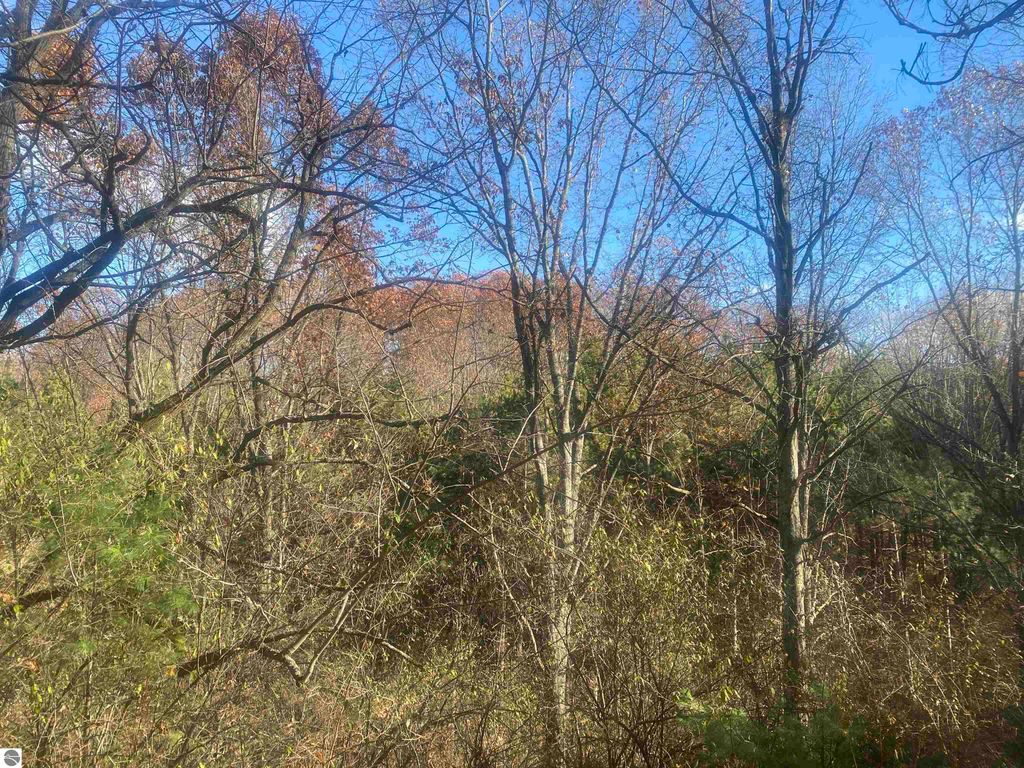 Image 10 of property listing at 000 E Hammond, Traverse City, MI 49686