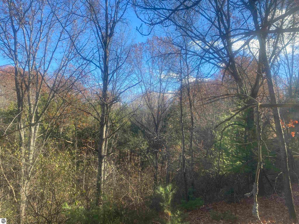 Image 11 of property listing at 000 E Hammond, Traverse City, MI 49686