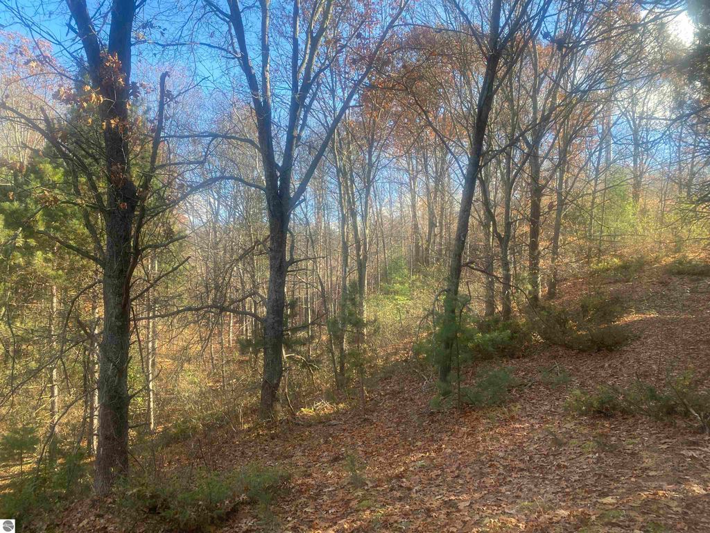 Image 12 of property listing at 000 E Hammond, Traverse City, MI 49686