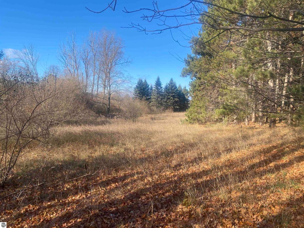 Image 13 of property listing at 000 E Hammond, Traverse City, MI 49686