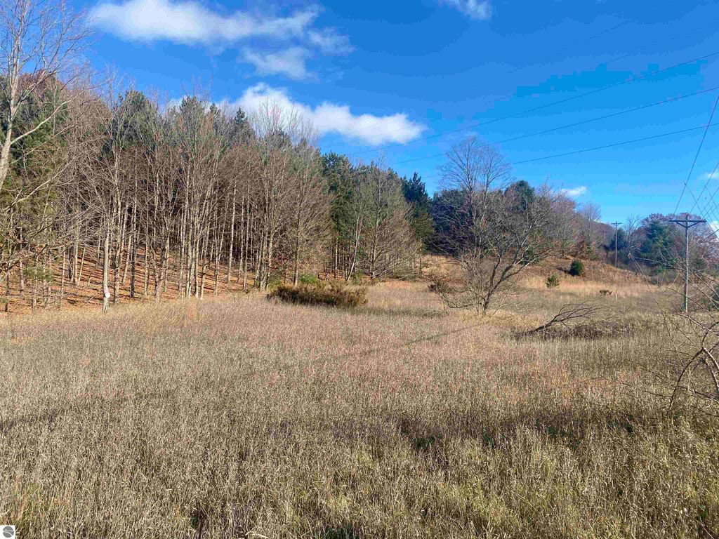 Image 15 of property listing at 000 E Hammond, Traverse City, MI 49686