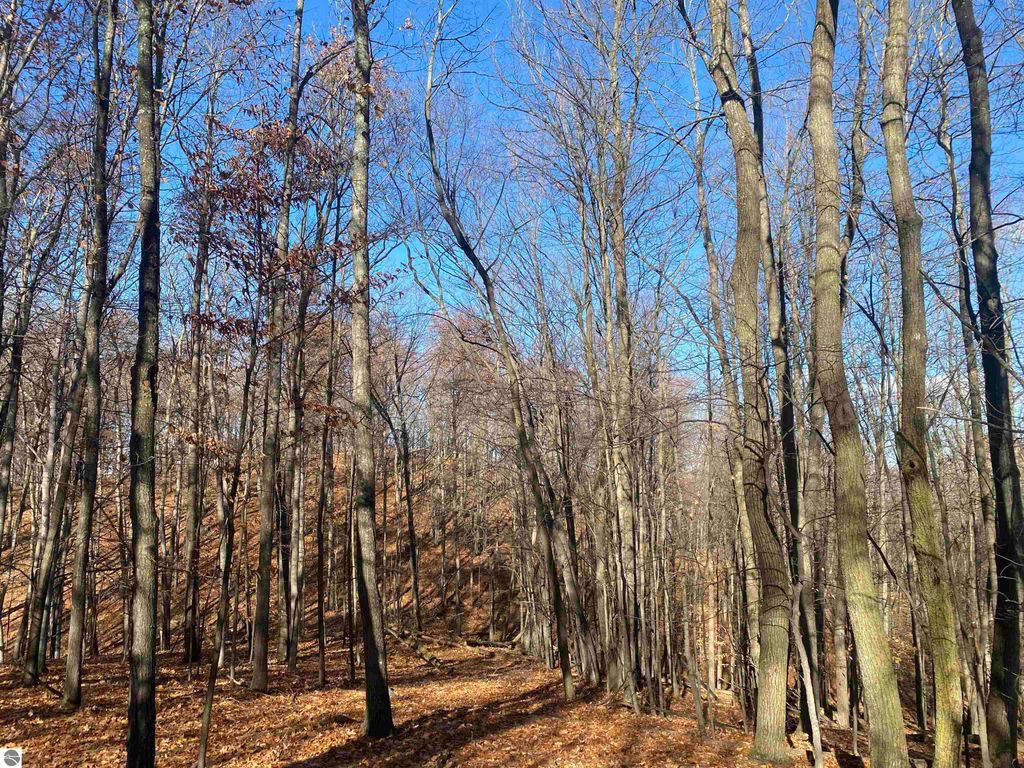 Image 19 of property listing at 000 E Hammond, Traverse City, MI 49686