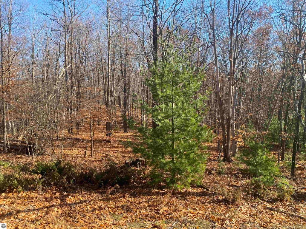 Image 20 of property listing at 000 E Hammond, Traverse City, MI 49686