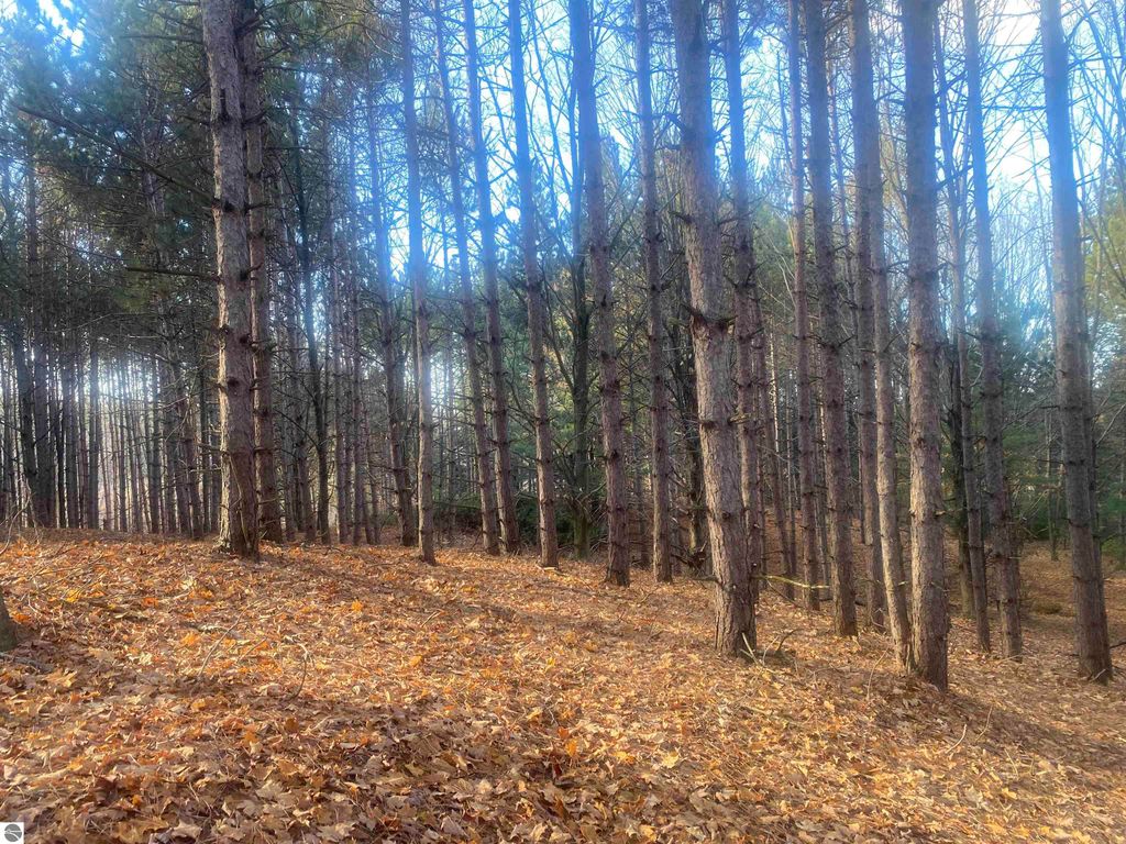 Image 7 of property listing at 000 E Hammond, Traverse City, MI 49686