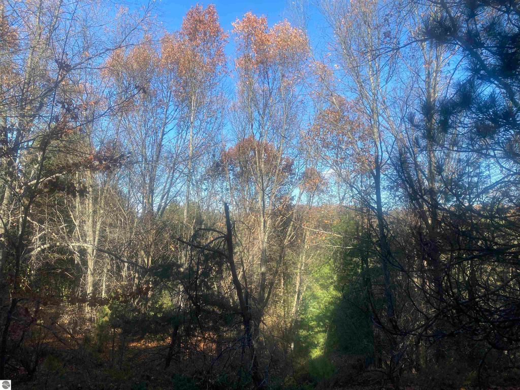 Image 9 of property listing at 000 E Hammond, Traverse City, MI 49686