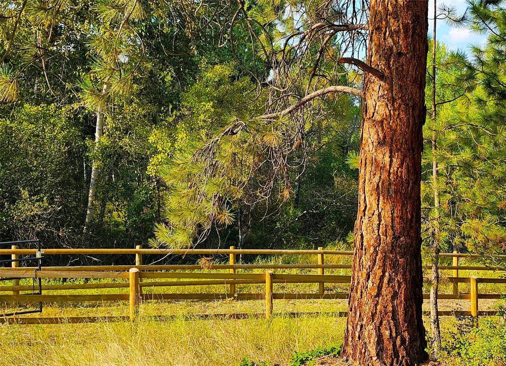 3306 Bears Road, Stevensville, MT 59870 photo 57