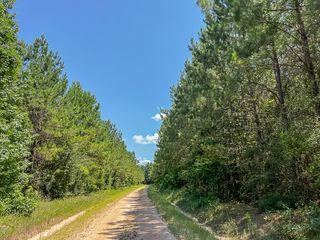 000000 Cr 368a, Zavalla, TX 75980