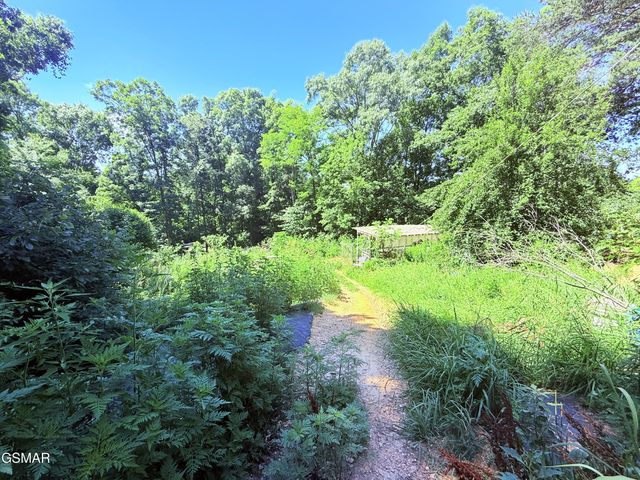 1040 Sturmhaben Way, Newport, TN 37821
