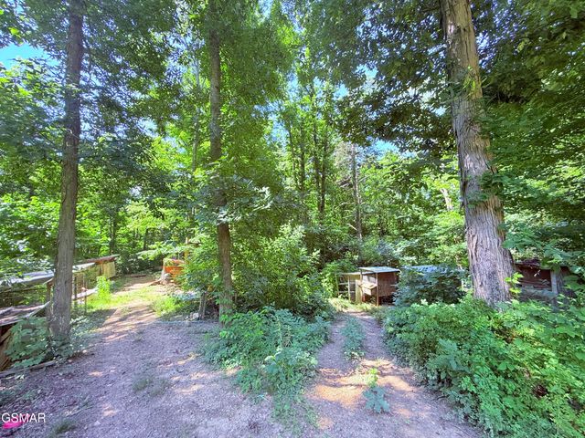 1040 Sturmhaben Way, Newport, TN 37821