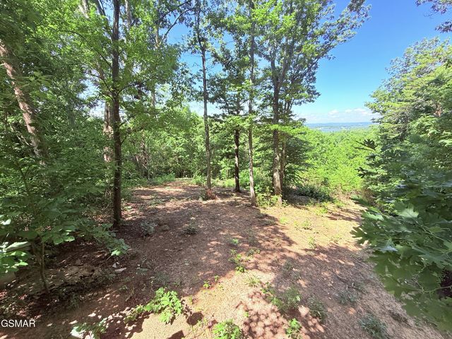 1040 Sturmhaben Way, Newport, TN 37821