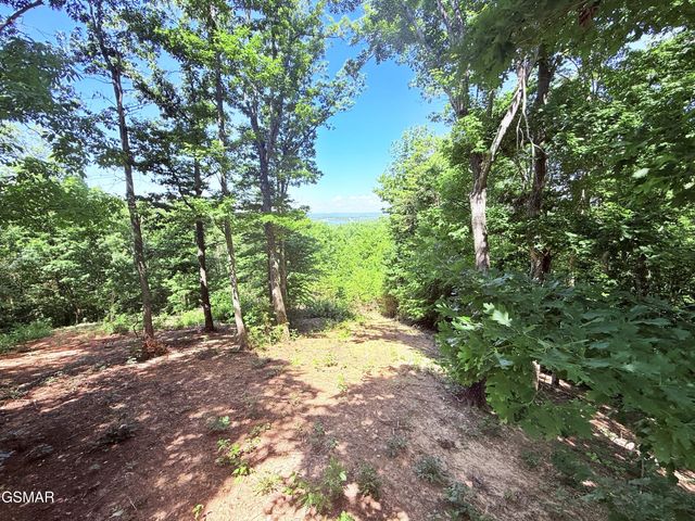 1040 Sturmhaben Way, Newport, TN 37821