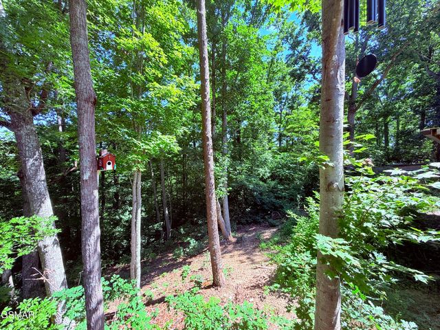 1040 Sturmhaben Way, Newport, TN 37821
