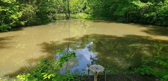 1040 Sturmhaben Way, Newport, TN 37821