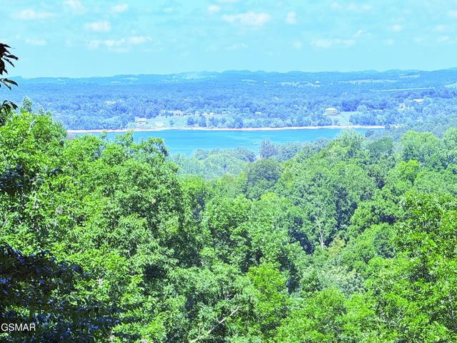 1040 Sturmhaben Way, Newport, TN 37821