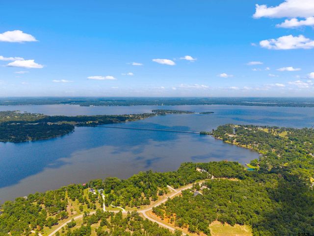 3195 Shadow Pine Drive, Larue, TX 75770