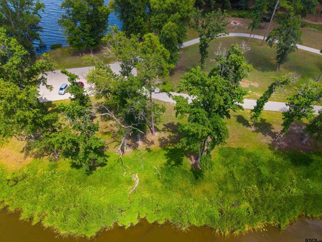 3195 Shadow Pine Drive, Larue, TX 75770