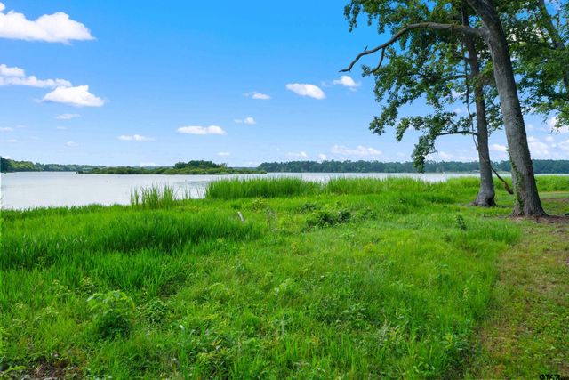 3195 Shadow Pine Drive, Larue, TX 75770