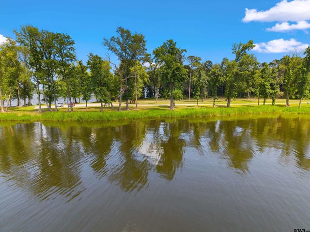 3195 Shadow Pine Drive, Larue, TX 75770