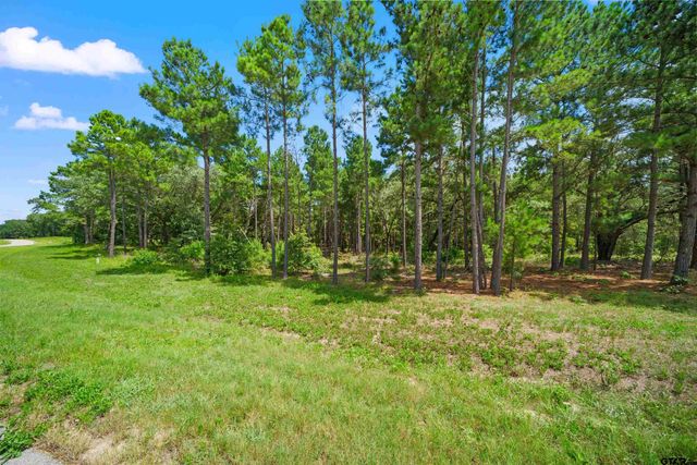 3195 Shadow Pine Drive, Larue, TX 75770