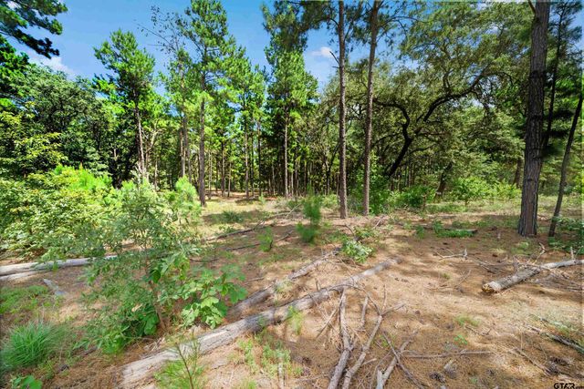 3195 Shadow Pine Drive, Larue, TX 75770