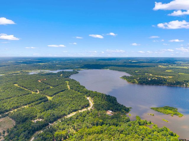 3195 Shadow Pine Drive, Larue, TX 75770