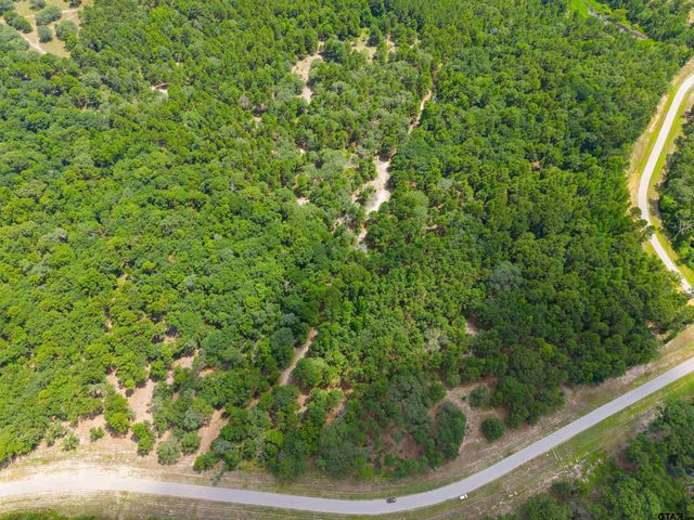 3195 Shadow Pine Drive, Larue, TX 75770