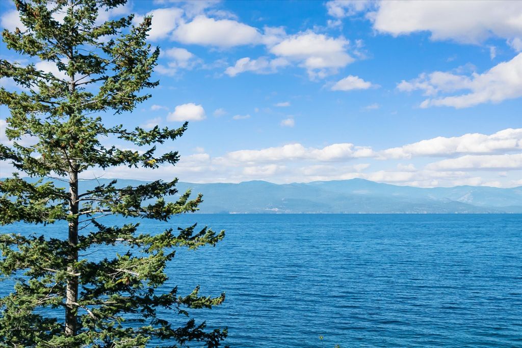 19571 Mt Highway 35, Bigfork, MT 59911 photo 44