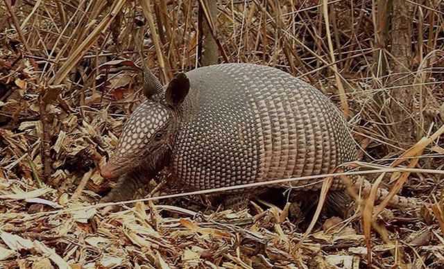 0 New Herman Rd, Lynchburg, TN 37352