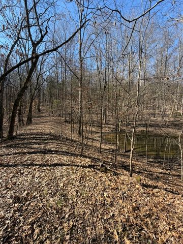 0 New Herman Rd, Lynchburg, TN 37352