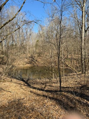 0 New Herman Rd, Lynchburg, TN 37352