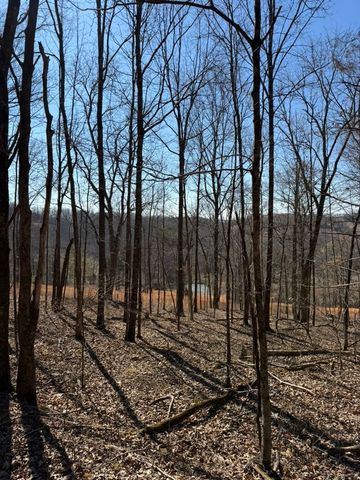 0 New Herman Rd, Lynchburg, TN 37352